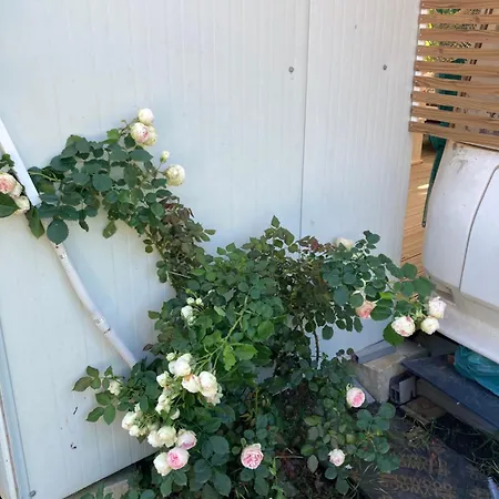 Kemping каравана Paradise