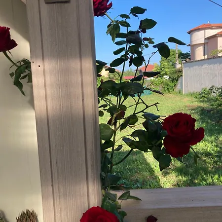 אתר קמפינג каравана Paradise