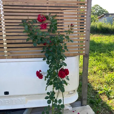 каравана Paradise סינמורץ