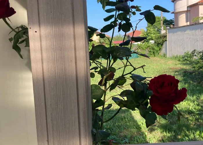 Кемпинг каравана Paradise