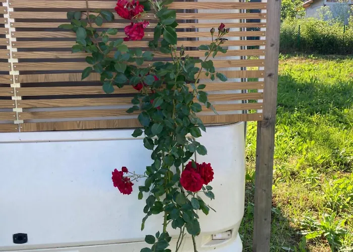 каравана Paradise Синеморец